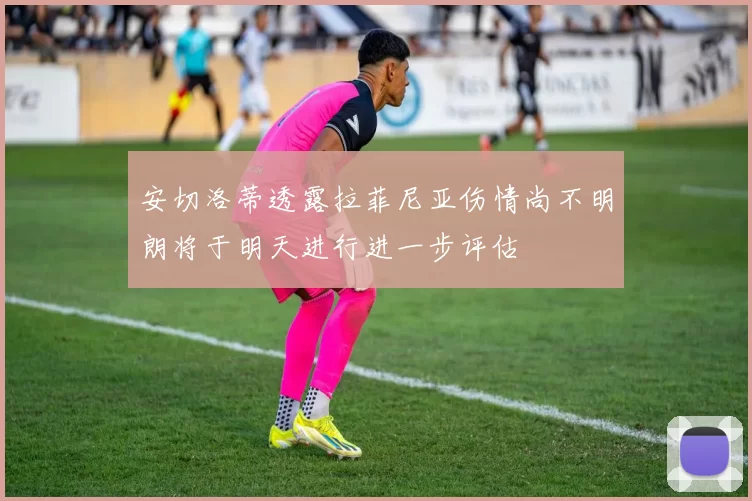 安切洛蒂透露拉菲尼亚伤情尚不明朗将于明天进行进一步评估