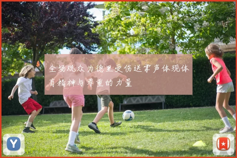 全场观众为德里受伤送掌声体现体育精神与尊重的力量